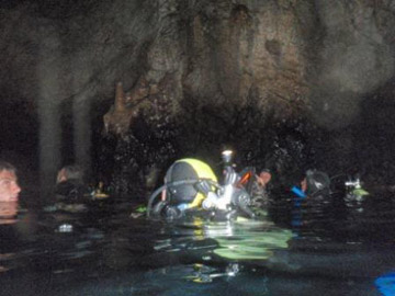 Corso di Biologia Marina organizzato dal Parco Marino di Punta Campanella in collaborazione con l'Università Parthenope di Napoli