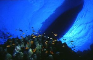 Introduzione alle immersioni nelle acque del Parco Marino di Punta Campanella