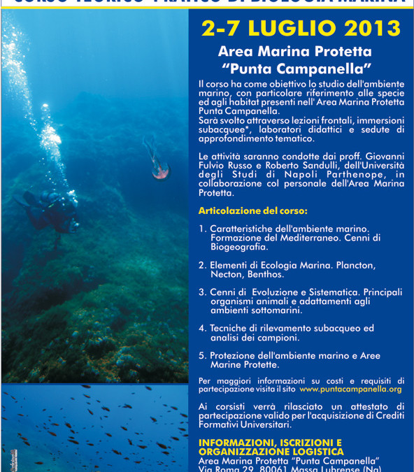Corso teorico-pratico di Biologia Marina 2013