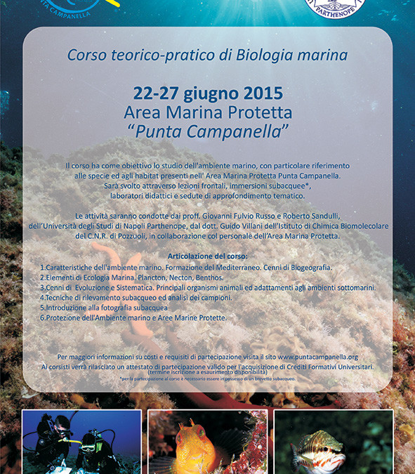 Corso teorico-pratico di Biologia Marina 2015