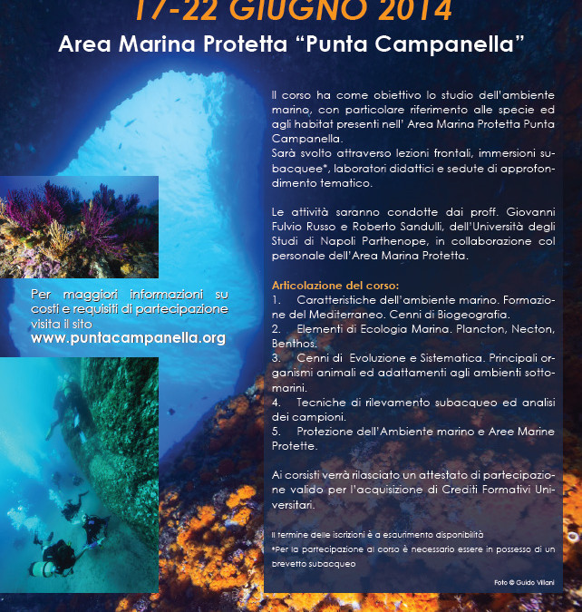 Corso teorico-pratico di Biologia Marina 2014