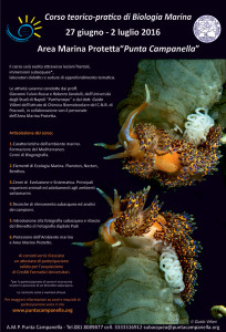 Corso teorico-pratico di Biologia Marina - 2016