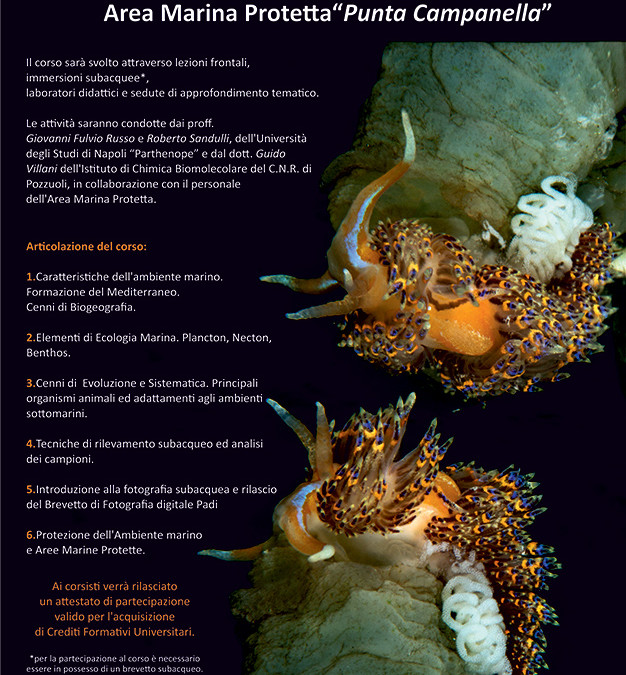 Corso teorico-pratico di Biologia Marina 2016
