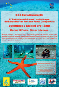 Locandina D.S.D. Padi 2015