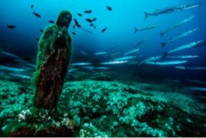 La Madonnina del Vervece - Area Marina Protetta di Punta Campanella