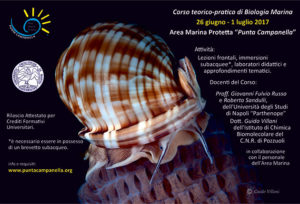 Cartolina 2017 - Corso di Biologia Marina