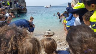 Liberazione Caretta caretta del 11 maggio 2017