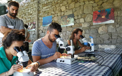 Punta Campanella, a scuola di biologia nell’Area Marina Protetta