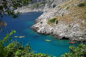 Progetto La Baia in fondo al sentiero - A.M.P. Punta Campanella