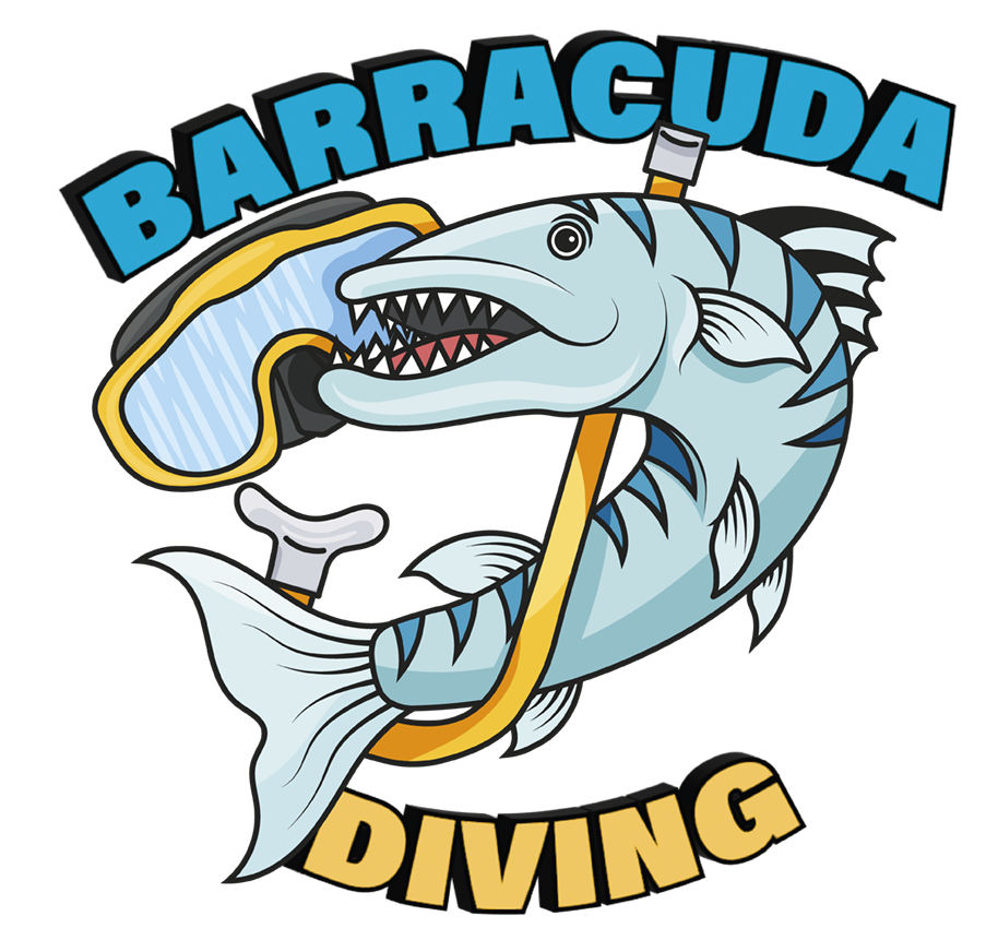 Punta Campanella Diving - Logo